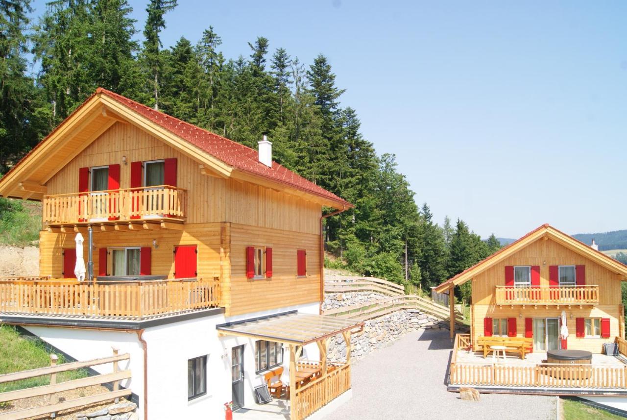 Bergchalet Am Waldrand - Pool, Sauna & Kamin Pöllauberg المظهر الخارجي الصورة