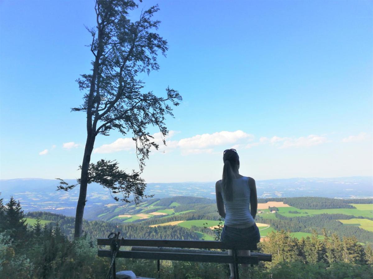 Bergchalet Am Waldrand - Pool, Sauna & Kamin Pöllauberg المظهر الخارجي الصورة